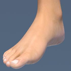 Female Foot